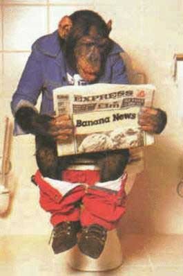 lol le singe